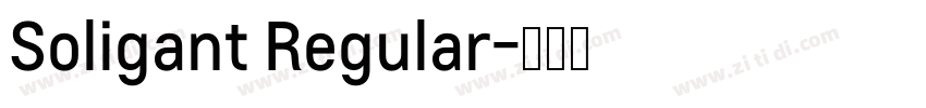 Soligant Regular字体转换